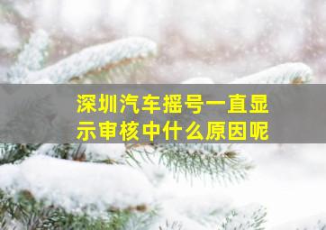 深圳汽车摇号一直显示审核中什么原因呢