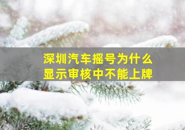 深圳汽车摇号为什么显示审核中不能上牌