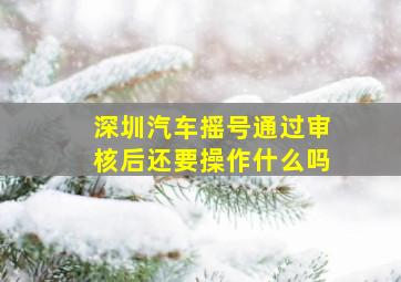 深圳汽车摇号通过审核后还要操作什么吗