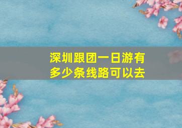 深圳跟团一日游有多少条线路可以去