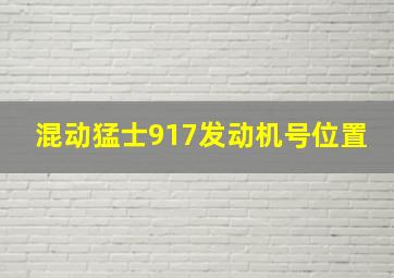 混动猛士917发动机号位置