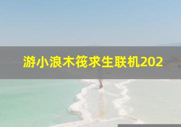 游小浪木筏求生联机202