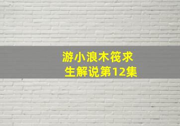 游小浪木筏求生解说第12集