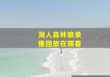 湖人森林狼录像回放在哪看