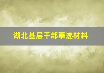 湖北基层干部事迹材料