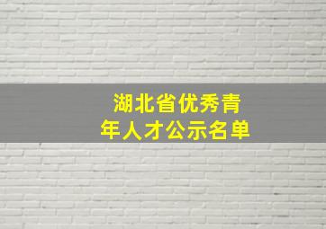 湖北省优秀青年人才公示名单