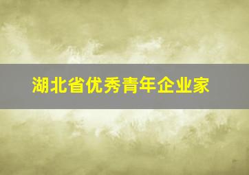 湖北省优秀青年企业家