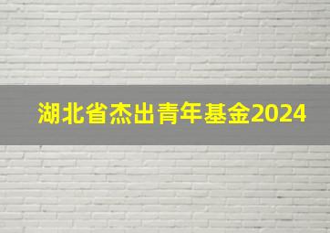 湖北省杰出青年基金2024