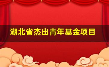 湖北省杰出青年基金项目