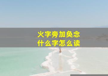 火字旁加奂念什么字怎么读