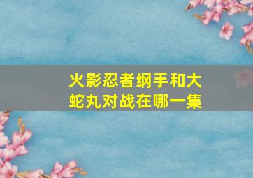 火影忍者纲手和大蛇丸对战在哪一集