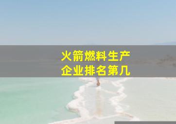 火箭燃料生产企业排名第几