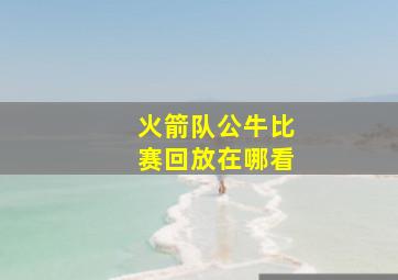 火箭队公牛比赛回放在哪看