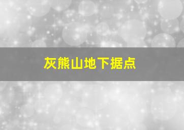 灰熊山地下据点