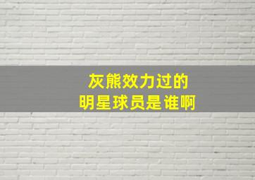 灰熊效力过的明星球员是谁啊