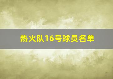 热火队16号球员名单