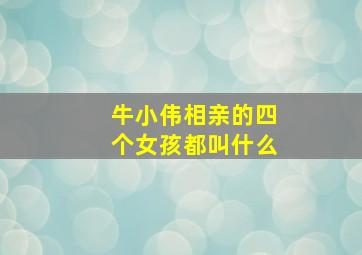 牛小伟相亲的四个女孩都叫什么