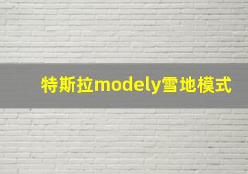 特斯拉modely雪地模式