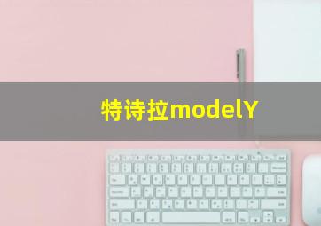 特诗拉modelY