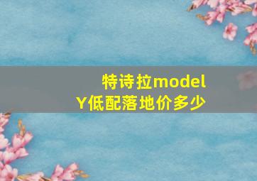 特诗拉modelY低配落地价多少