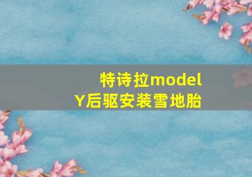 特诗拉modelY后驱安装雪地胎