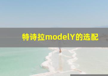 特诗拉modelY的选配