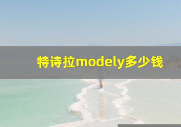 特诗拉modely多少钱