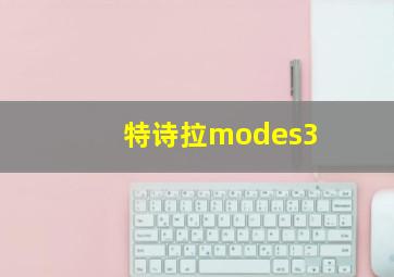 特诗拉modes3