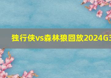 独行侠vs森林狼回放2024G3