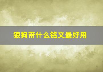 狼狗带什么铭文最好用