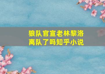 狼队官宣老林黎洛离队了吗知乎小说