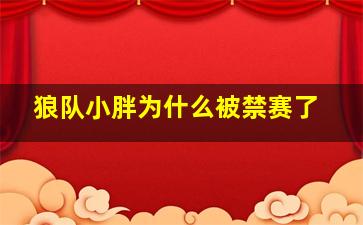 狼队小胖为什么被禁赛了