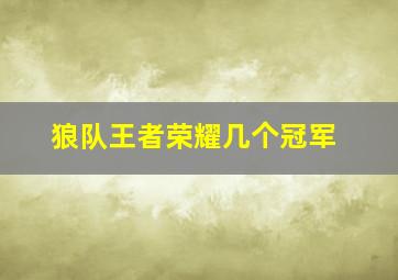 狼队王者荣耀几个冠军