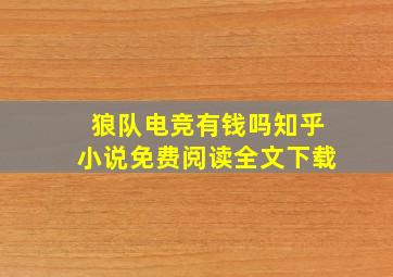 狼队电竞有钱吗知乎小说免费阅读全文下载