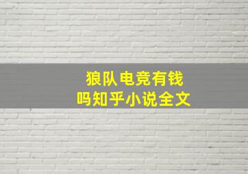 狼队电竞有钱吗知乎小说全文