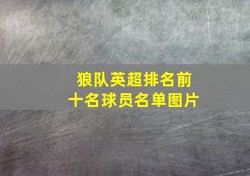 狼队英超排名前十名球员名单图片