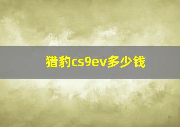 猎豹cs9ev多少钱