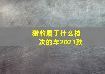 猎豹属于什么档次的车2021款