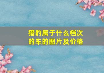 猎豹属于什么档次的车的图片及价格