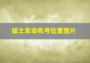 猛士发动机号位置图片