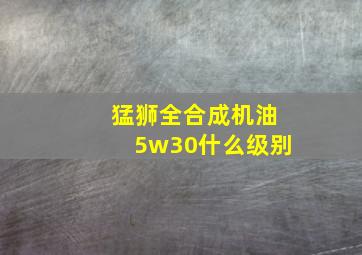 猛狮全合成机油5w30什么级别