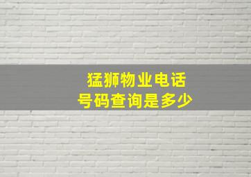 猛狮物业电话号码查询是多少