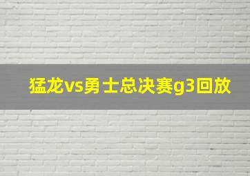 猛龙vs勇士总决赛g3回放