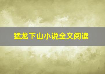 猛龙下山小说全文阅读