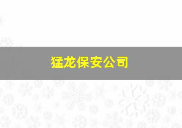 猛龙保安公司