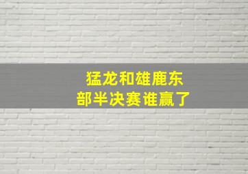 猛龙和雄鹿东部半决赛谁赢了