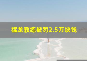 猛龙教练被罚2.5万块钱