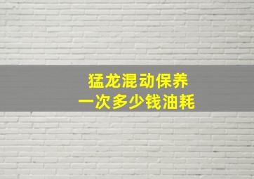 猛龙混动保养一次多少钱油耗