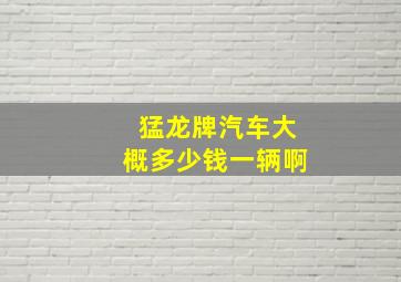 猛龙牌汽车大概多少钱一辆啊