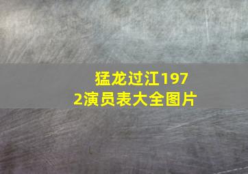 猛龙过江1972演员表大全图片